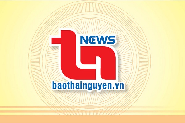 Govi Furniture: Hành trình 11 năm vươn tới vị trí số một ngành nội thất văn phòng